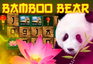 Bamboo Bear